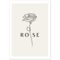 Rose Line Wall Art - With Pyar